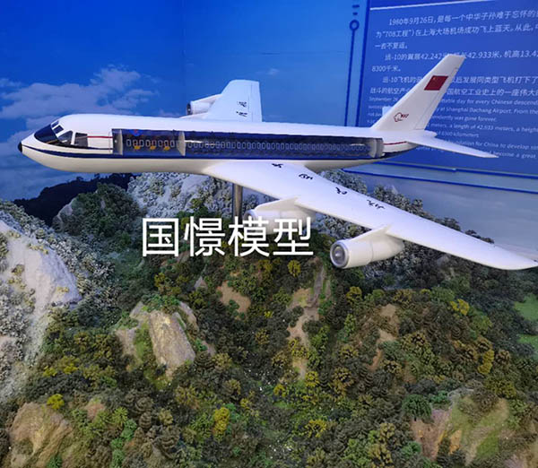 阳泉县飞机模型