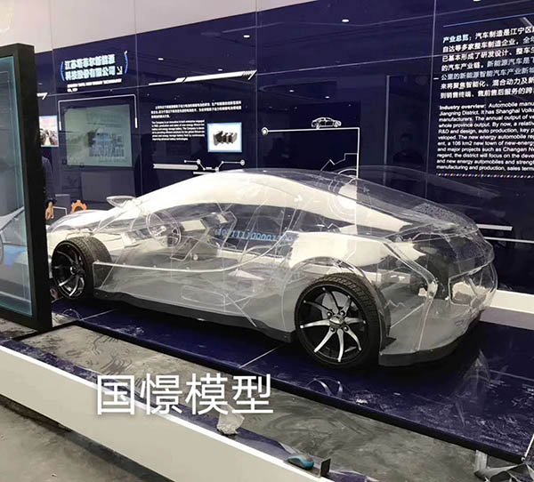阳泉县透明车模型